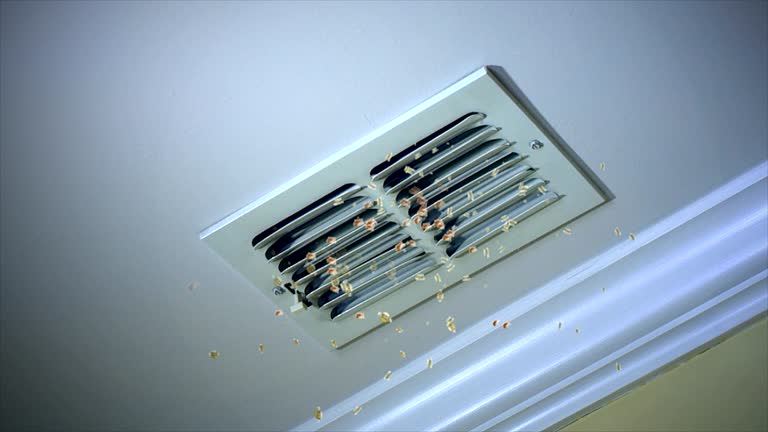 Best Best Air Duct Cleaning Company  in Volga, SD