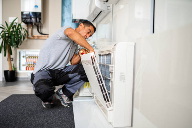 Air Duct Mold Removal in Volga, SD