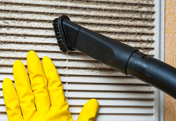 Best Ductwork Cleaning Services  in Volga, SD